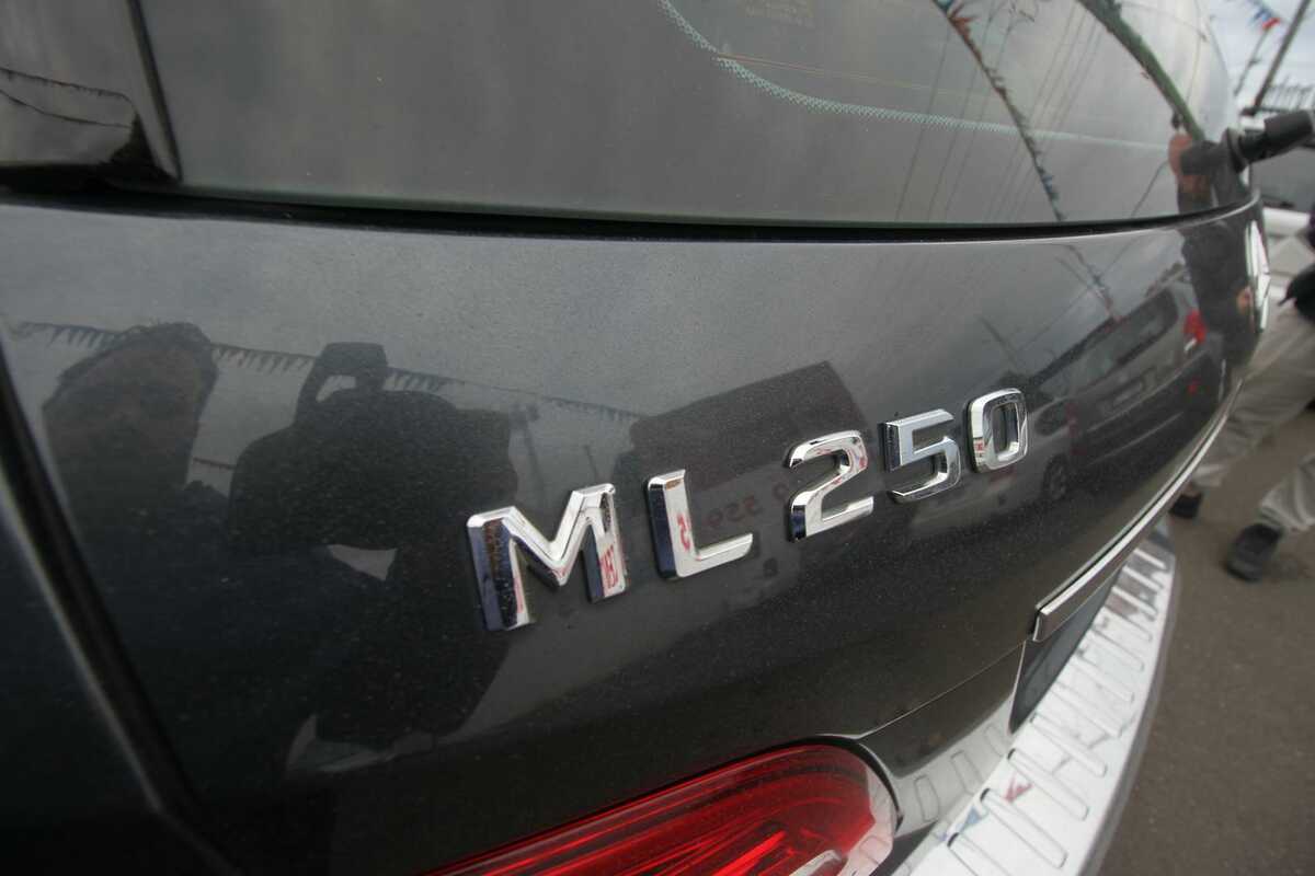 2012 Mercedes-Benz M-Class ML250 BlueTEC W166
