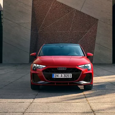 Striking appearance.