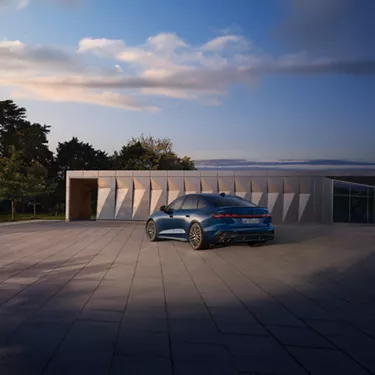 Dynamic from every perspective.