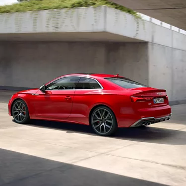 Dynamic from every perspective