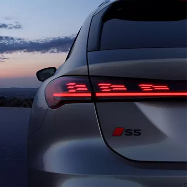 A leading light.