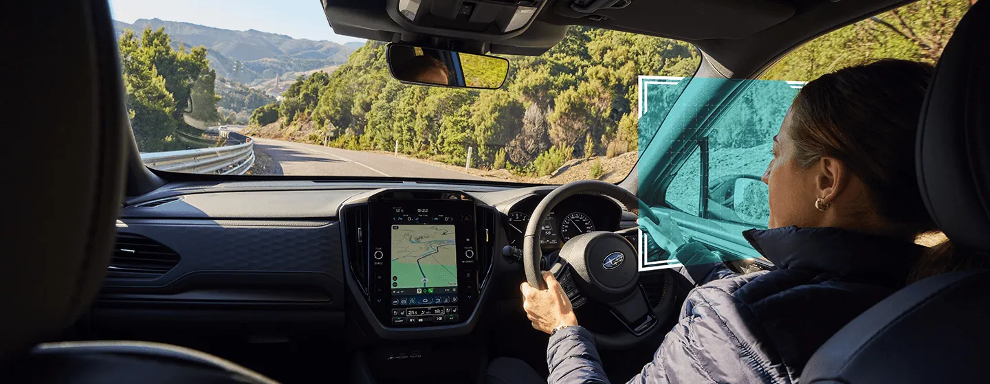 Safety Systems Driver Monitoring System (DMS)*