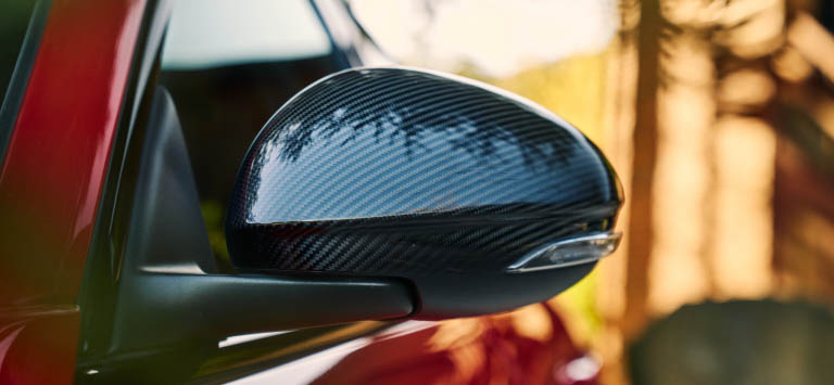 CARBON-FIBRE MIRROR CAPS