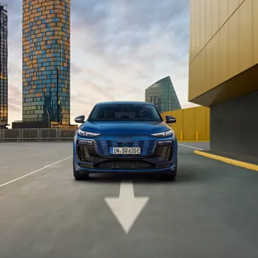 Outstanding performance - purely electric.