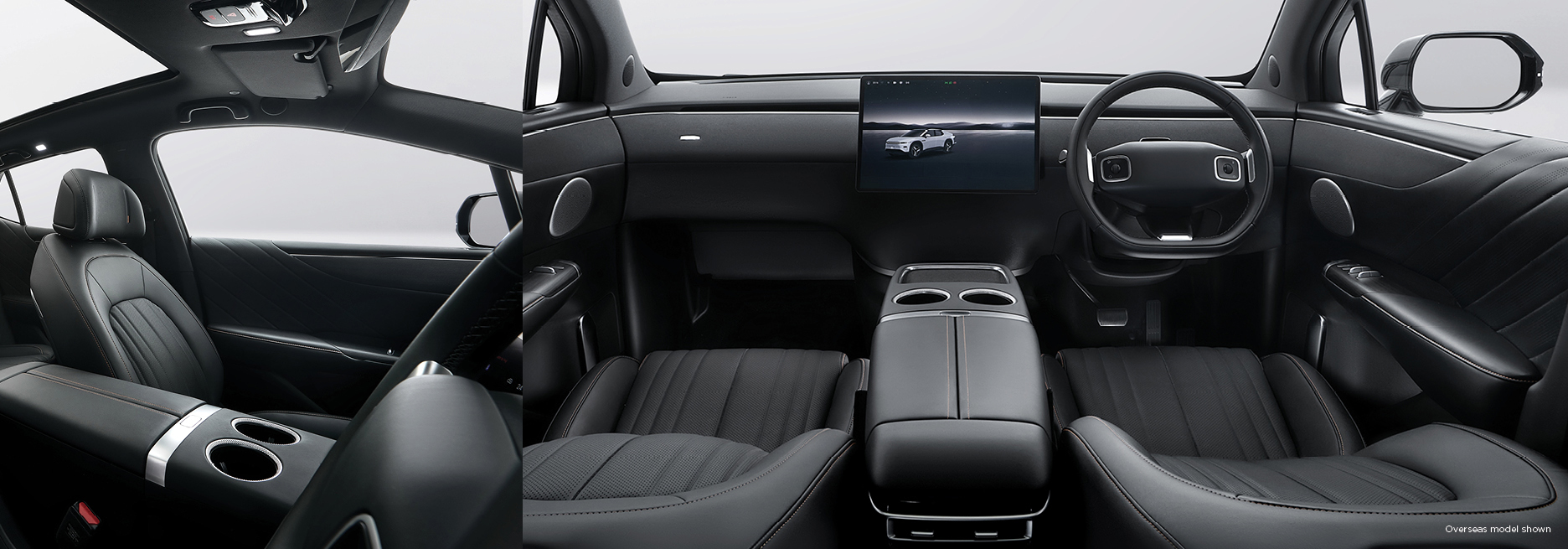 Interior Nappa Leather Trim"