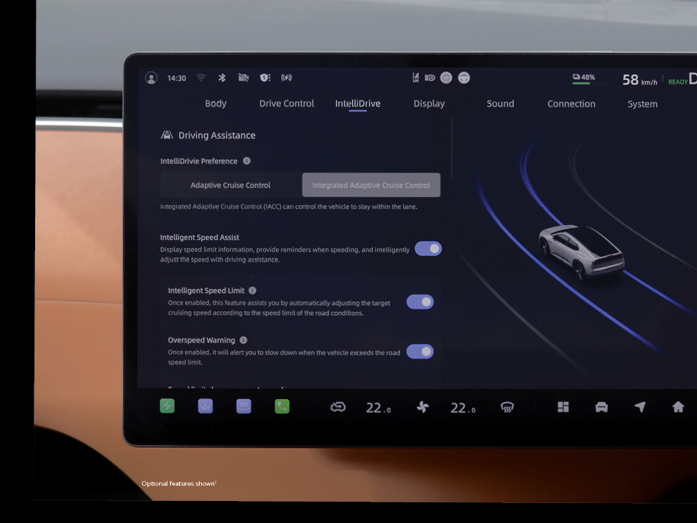 Advanced Driving Assistance Systems (ADAS)