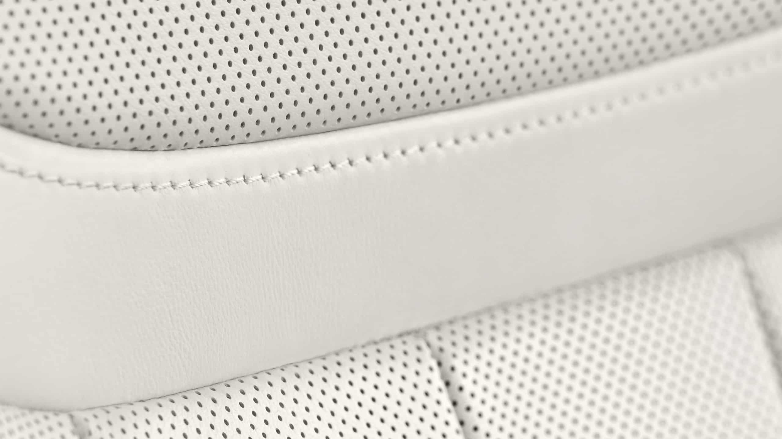LUXURIOUS LEATHERS