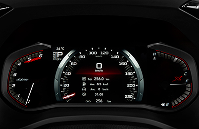 DIGITAL MULTI-INFORMATION DISPLAY