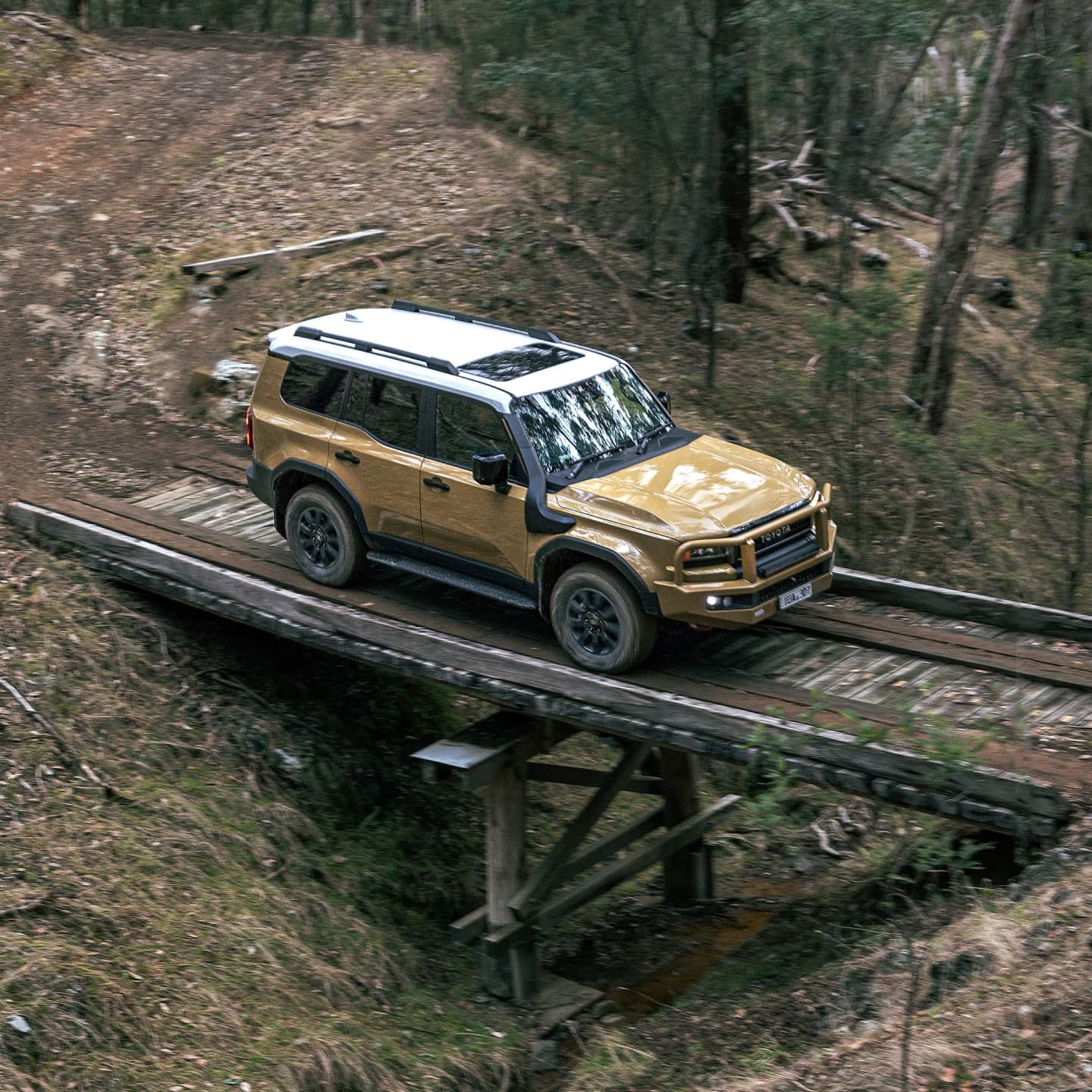 Reared for adventure