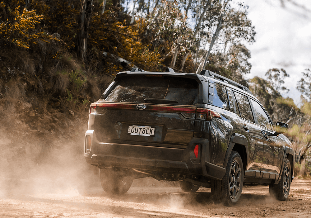 A look to match the attitude