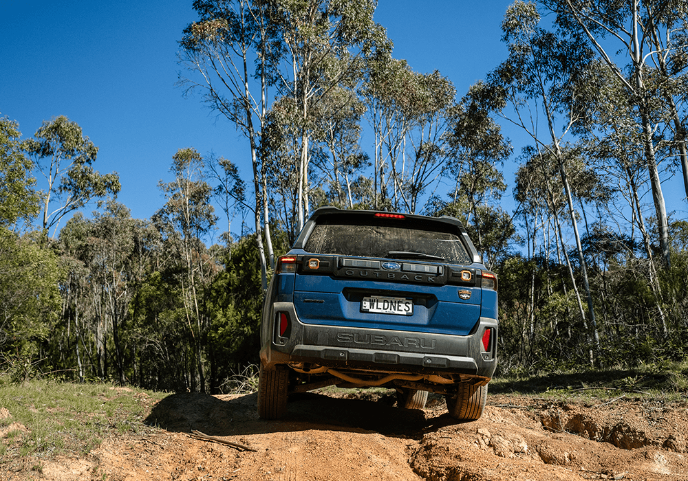 Capability that walks the talk