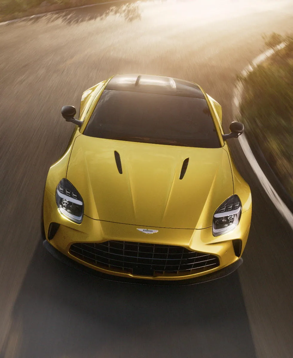 THE APEX OF ACTIVE DYNAMICS