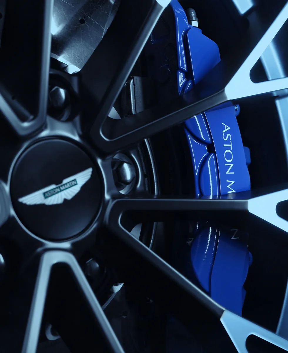 AN EXCLUSIVE EVOLUTION