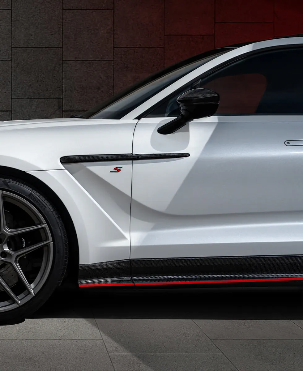 ASSERTIVE AESTHETICS