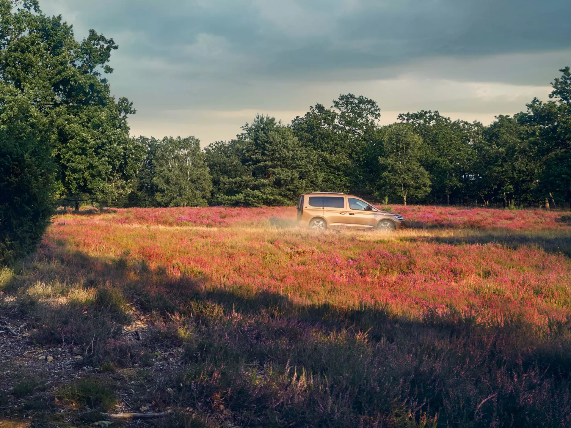 Drive & Performance Glide into every adventure