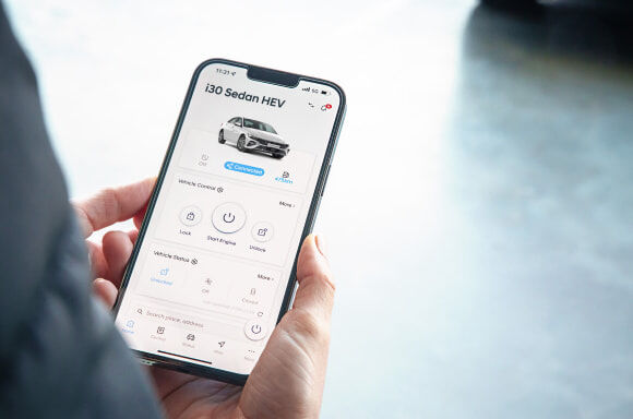 BluelinkTM[P2] connected car service