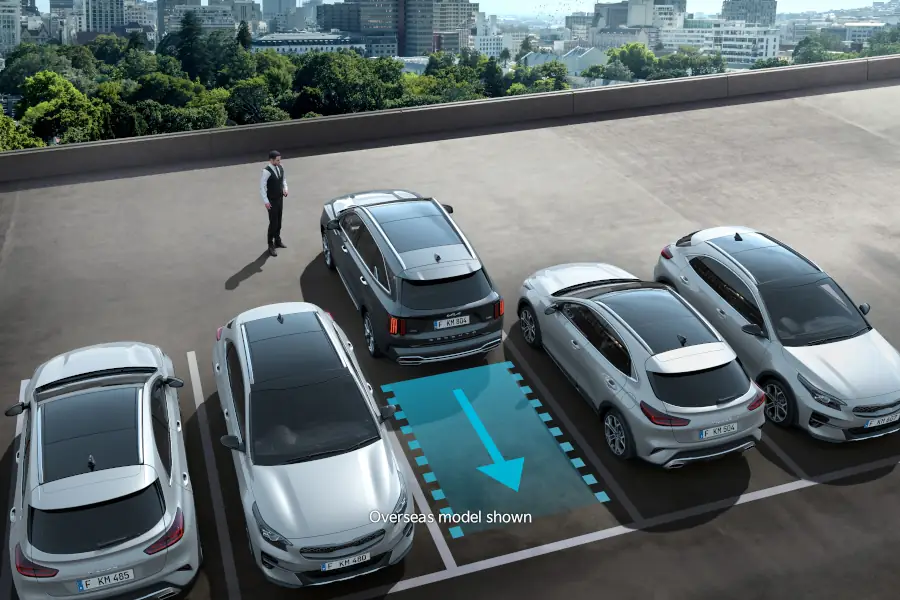 Capacity for change. Remote Smart Parking Assist[W]