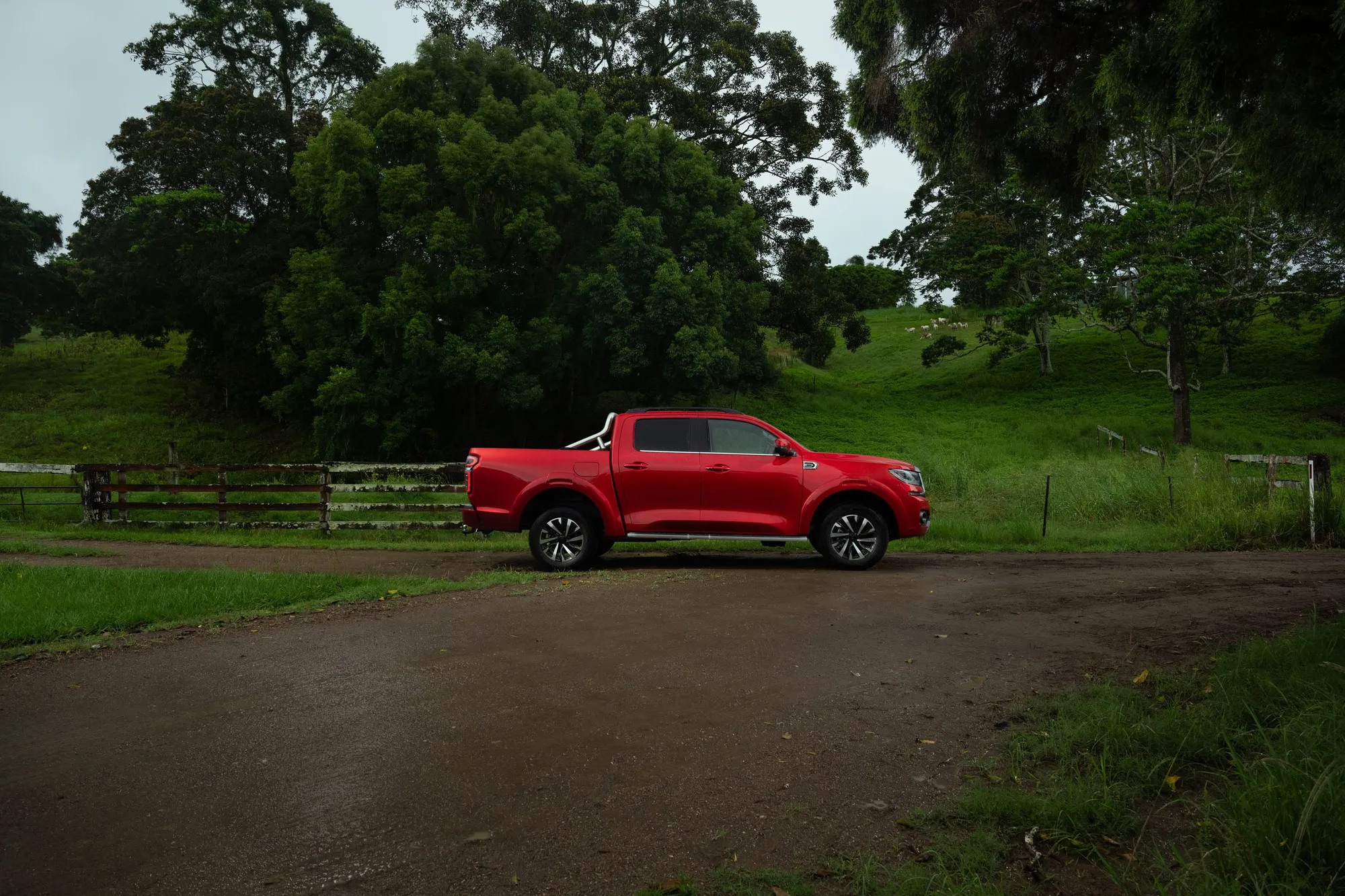 Meet Cannon, the GWM ute.