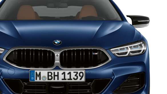  M kidney grille and M exterior mirror.