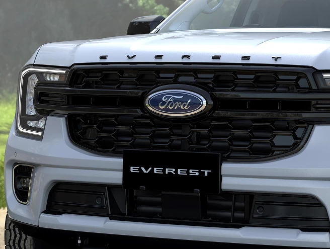 Blacked-out grille