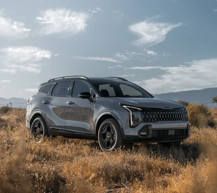 Kia Connect & OTA updates