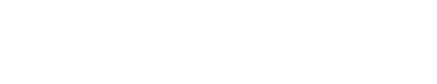 The Car Place logo