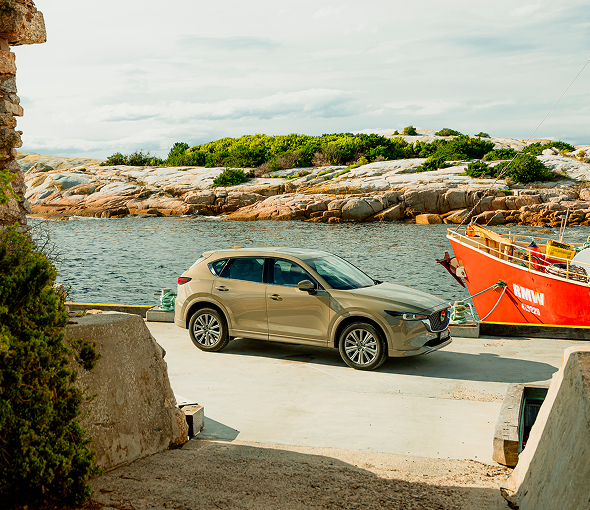 Summer Driving Essentials