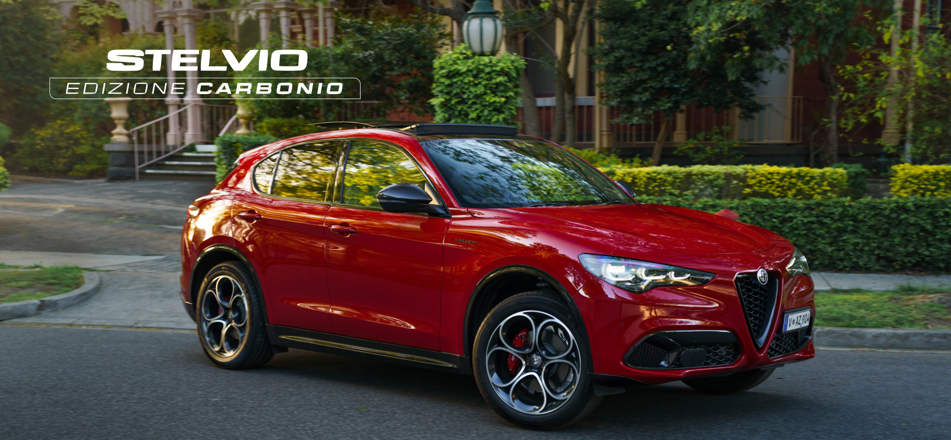 LIMITED EDITION - STELVIO EDIZIONE CARBONIO Image
