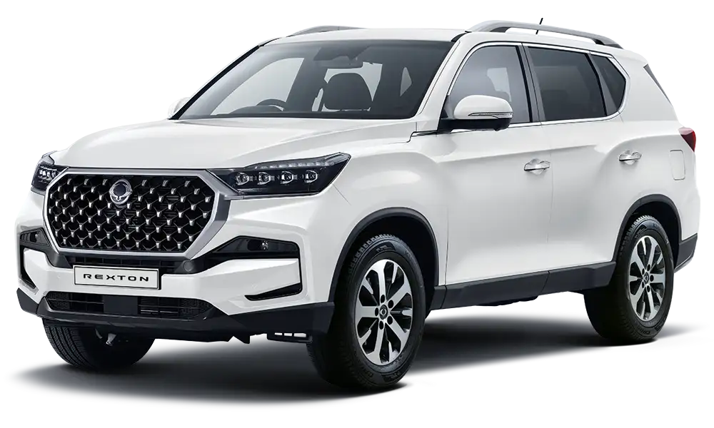Rexton Run Out Sale Image